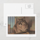 Carte Postale Saint-Pétersbourg, Floride - Photo De Floride (Devant / Derrière)