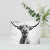 Carte Postale Saint Vache Mesotint Style Art Photographie L (Debout devant)