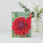 Carte postale Saint Valentin avec dahlia rouge (Debout devant)