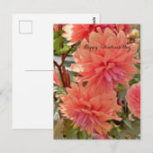 Carte postale Saint-Valentin avec dahlias (Devant / Derrière)