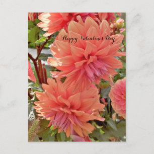 Carte postale Saint-Valentin avec dahlias