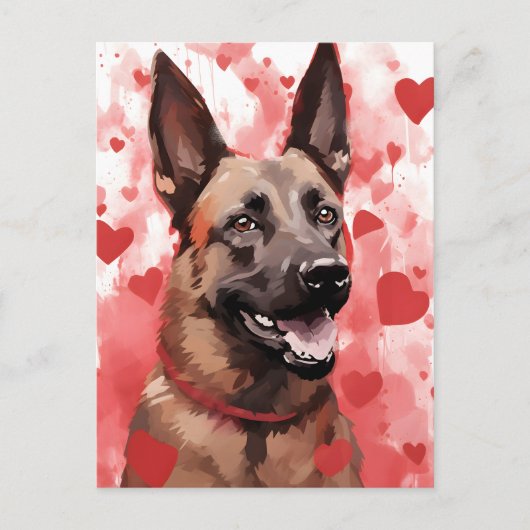 Carte Postale Saint-Valentin Berger Malinois Belge (Devant)