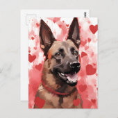 Carte Postale Saint-Valentin Malinois belge (Devant / Derrière)