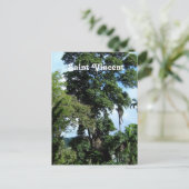 Carte Postale Saint-Vincent (Debout devant)