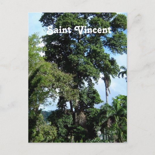 Carte Postale Saint-Vincent (Devant)