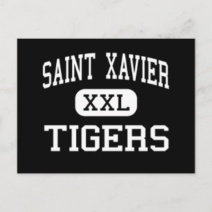 Carte Postale Saint Xavier - Tigres - Haut - Louisville Kentucky