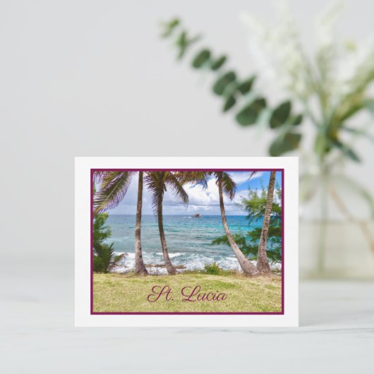 Carte Postale Sainte-Lucie sublime (Debout devant)