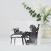 Carte Postale Saisie de singe (Debout devant)