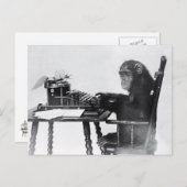 Carte Postale Saisie de singe (Devant / Derrière)