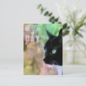 Carte Postale Saisir le chat du jour (Debout devant)