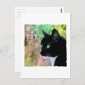 Carte Postale Saisir le chat du jour (Devant / Derrière)