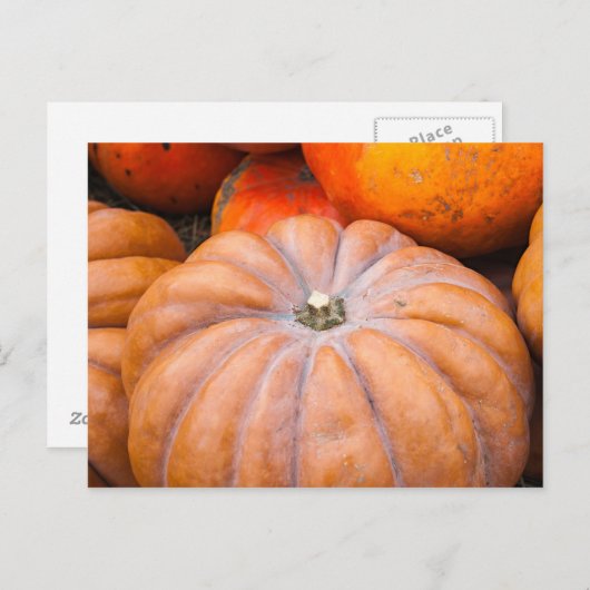 Carte Postale Saison citrouille (Devant / Derrière)