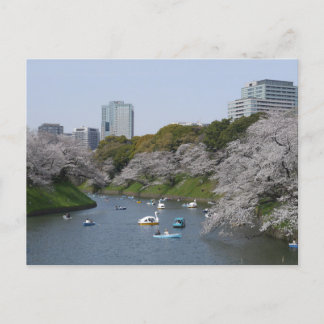 Carte Postale Saison de fleurs de cerisiers (Sakura) à Tokyo, Ja