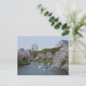Carte Postale Saison de fleurs de cerisiers (Sakura) à Tokyo, Ja (Debout devant)