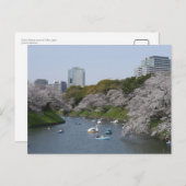 Carte Postale Saison de fleurs de cerisiers (Sakura) à Tokyo, Ja (Devant / Derrière)