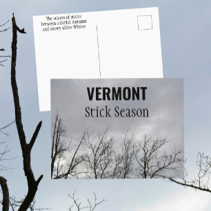 Carte Postale Saison des Bâtons Vermont Photographie de la Nouve