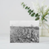 Carte Postale Saison des récoltes, 1906 (Debout devant)