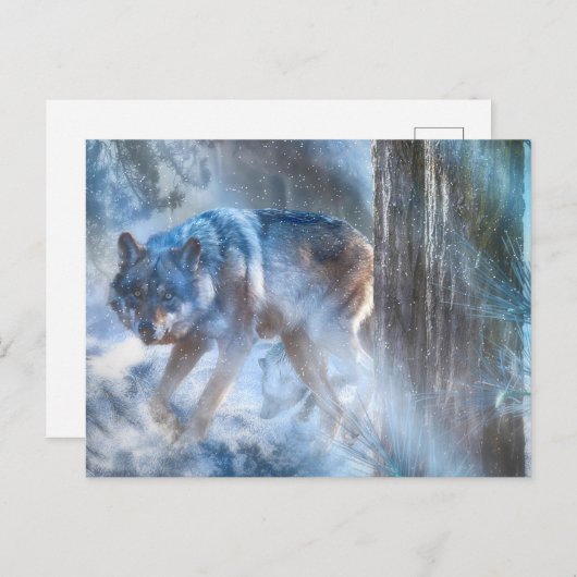 Carte Postale SAISON DU Loup gris DU LOUP (Devant / Derrière)