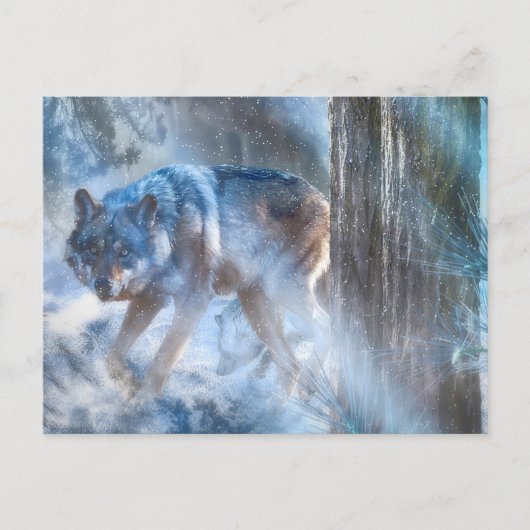 Carte Postale SAISON DU Loup gris DU LOUP (Devant)