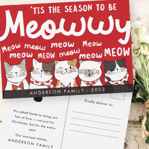 Carte Postale Saison pour être Meowww drôle Mignons Chats qui ch