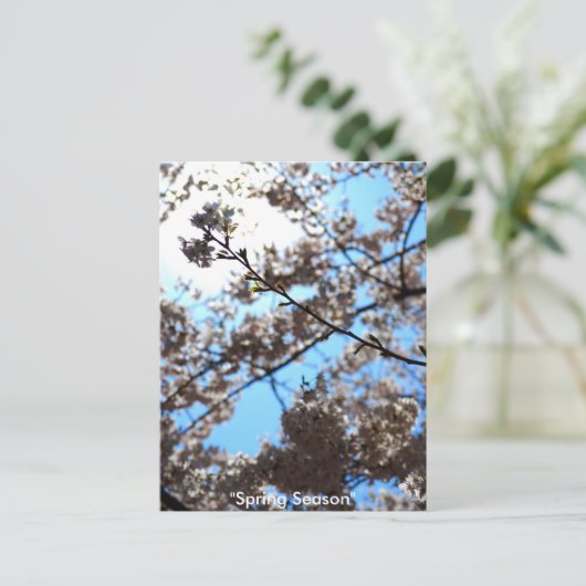 Carte Postale Saison printemps (Debout devant)