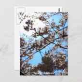 Carte Postale Saison printemps (Devant / Derrière)