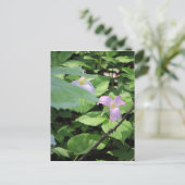 Carte Postale Saison Tardive Trillium (Debout devant)