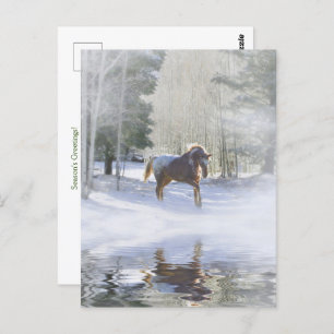Carte Postale Saisons de Vacances Salutations Cheval à Neige