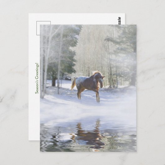 Carte Postale Saisons de Vacances Salutations Cheval à Neige (Devant / Derrière)