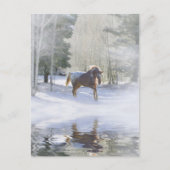 Carte Postale Saisons de Vacances Salutations Cheval à Neige (Devant)