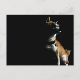 Carte postale Saké Suave