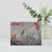 Carte postale Sakura 2014 (Debout devant)
