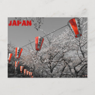 Carte postale Sakura 2014