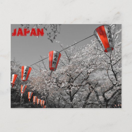 Carte postale Sakura 2014 (Devant)
