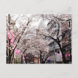 Carte postale Sakura à Tokyo Cherry Blossom, Japon