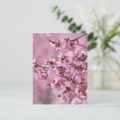 Carte Postale Sakura Cherry Blossoms Pastel Pink Layers (Debout devant)