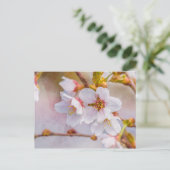 Carte Postale Sakura - Fleur de cerisier japonaise (Debout devant)