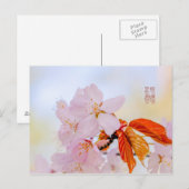 Carte Postale Sakura - Fleur de cerisier japonaise (Devant / Derrière)