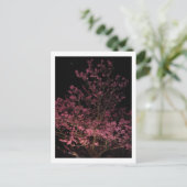 Carte Postale Sakura fleurit la nuit (Debout devant)