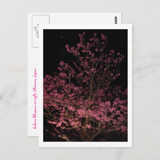 Carte Postale Sakura fleurit la nuit (Devant / Derrière)