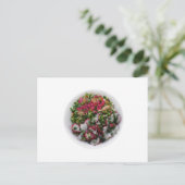 Carte Postale Salade avec radis et jetons rôtis (Debout devant)