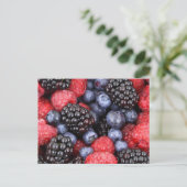 Carte Postale Salade Berry (Debout devant)