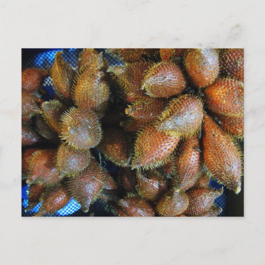 Carte Postale Salak [Fruit de serpent] (Devant)