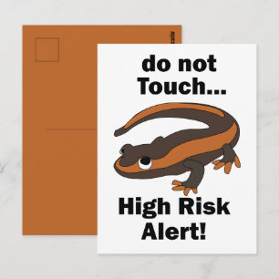 Carte Postale Salamandre de feu Ne pas toucher Alerte à haut ris