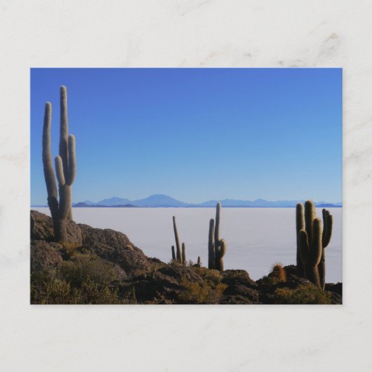 Carte Postale Salar de Uyuni, Bolivie (Devant)