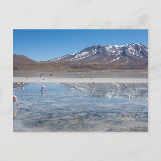 CARTE POSTALE SALAR DE UYUNI SALT PLAT, BOLIVIE (Devant)