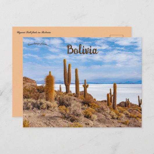 Carte Postale Salar d'Uyuni en Bolivie (Devant / Derrière)