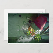 Carte Postale Sale Noël (Devant / Derrière)