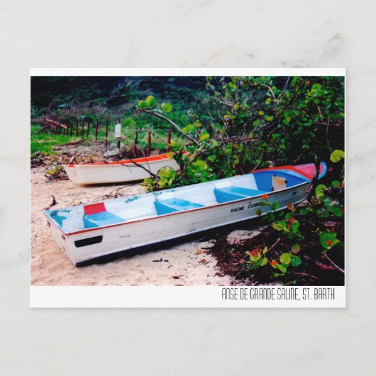 Carte Postale Saline Beach, St. Barts (Devant)