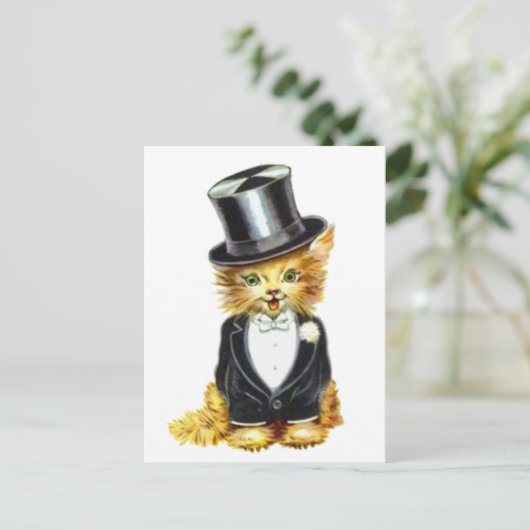 Carte Postale Salle de chat (Debout devant)